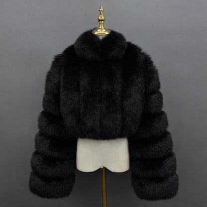 Cropped Straight Row Jacket with Collar