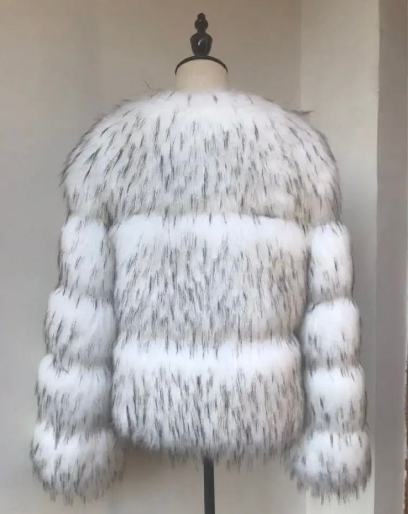 Iconic raccoon faux fur jacket with timeless design